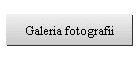 Galeria fotografii